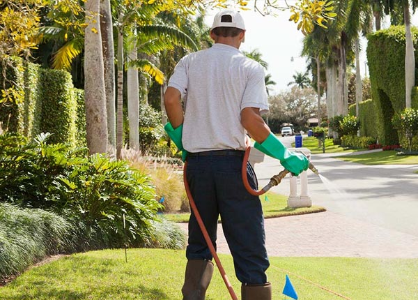 About Bayport MN Pest Control Pros